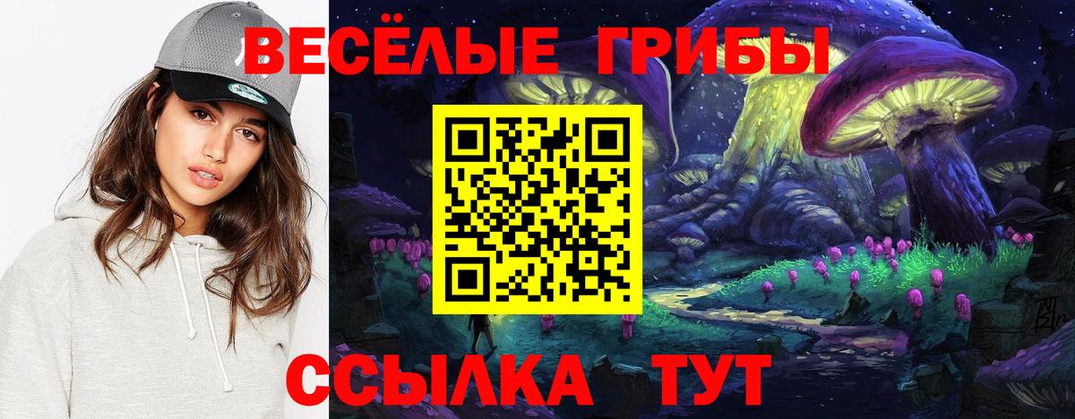 Урус-Мартан  Галлюциногенные грибы мухоморы  Псилоцибиновые грибы прущие грибы  что такое   Вход с VPN 