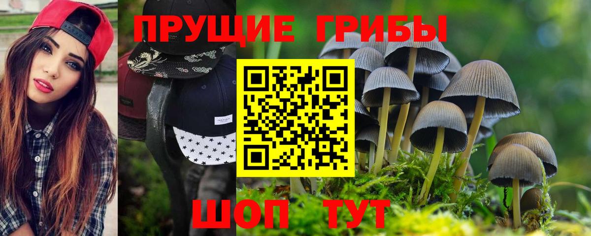 Псилоцибиновые грибы GOLDEN TEACHER Урус-Мартан