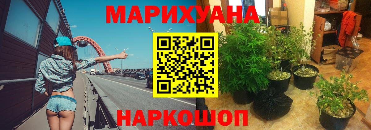 Конопля конопля Урус-Мартан